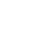 Squid Missile skill icon