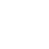 Shield Generator skill icon