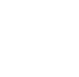 Point Laser skill icon