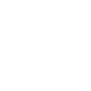 Unknown Shield skill icon