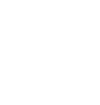 Point Laser skill icon