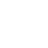 Iron icon