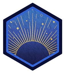 テクニカルなニケ icon