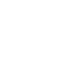 Giant Magnetic Field Barrier skill icon