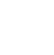 Beast of the Sky skill icon